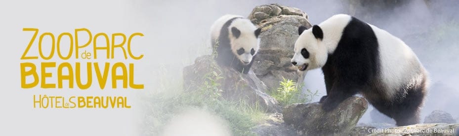 ClariLog Groupe - Témoignages - ZooParc de Beauval
